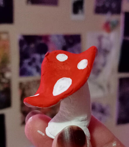 red and white mushroom.